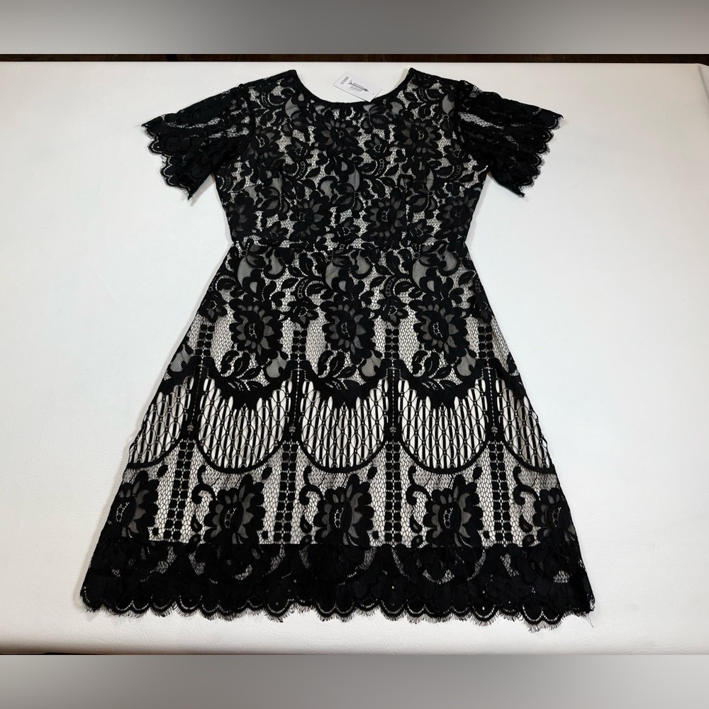 NWT MSLG Women's Elegant Round Neck V-Back Lace A Line Dress large (bin CC) - Picture 14 of 15